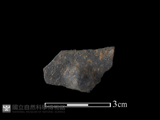 陶鈕藏品圖，第1張