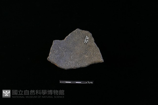 陶片藏品圖，第2張