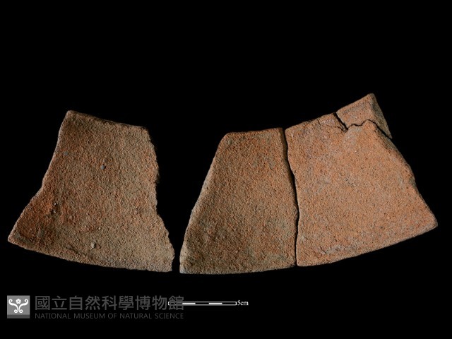 陶片藏品圖，第2張