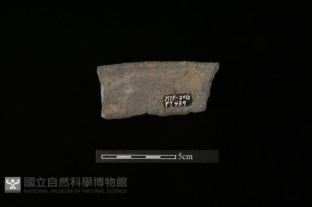 陶罐藏品圖，第1張