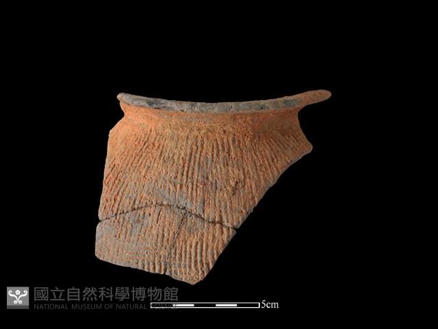 Accession Number:TC-2018-079 Collection Image, Figure 2, Total 3 Figures