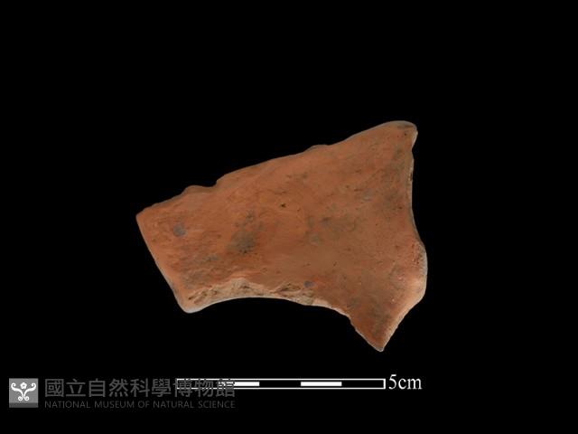 連杯形器藏品圖，第2張