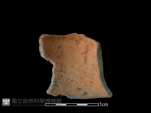 陶片藏品圖，第1張