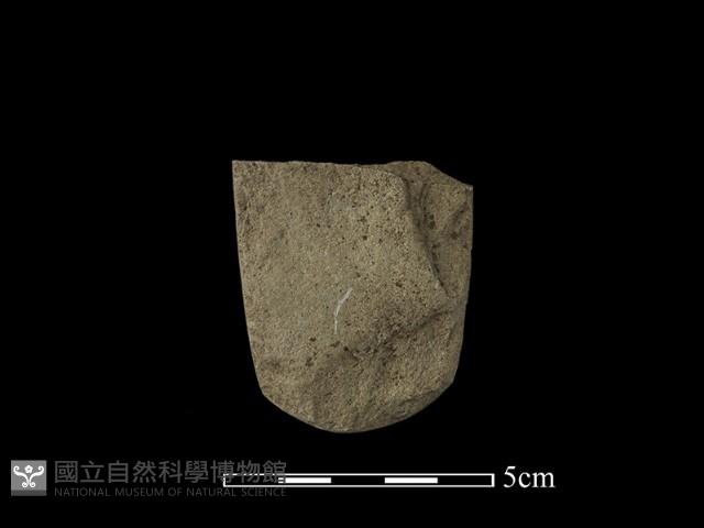 錛鑿形器藏品圖，第1張