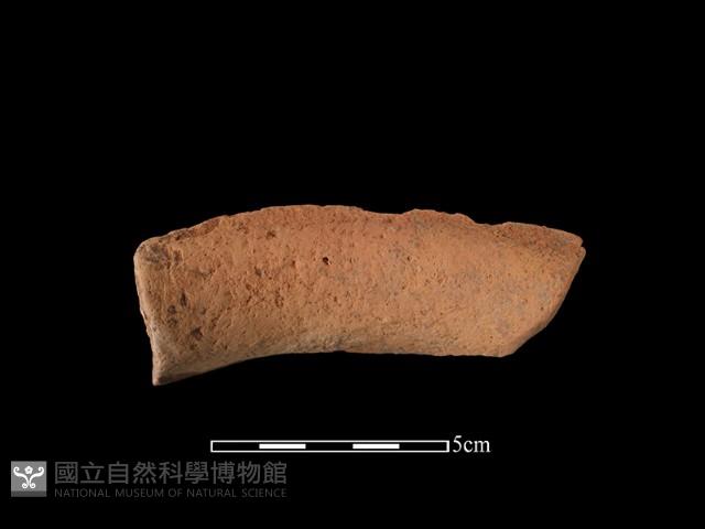 陶罐藏品圖，第2張