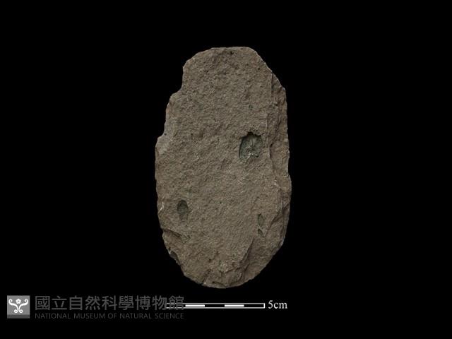 斧鋤形器藏品圖，第2張