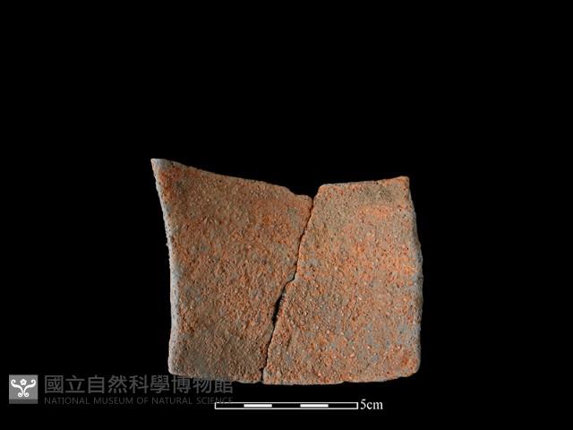 陶片藏品圖，第1張