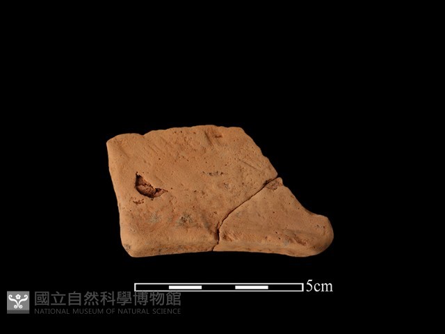 連杯形器藏品圖，第2張