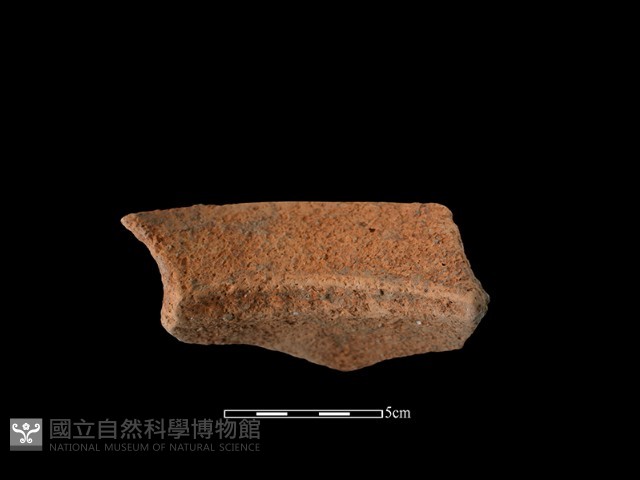 陶罐藏品圖，第2張