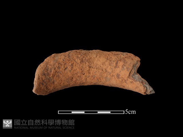 陶罐藏品圖，第2張