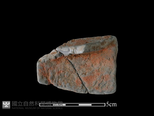 陶片藏品圖，第2張