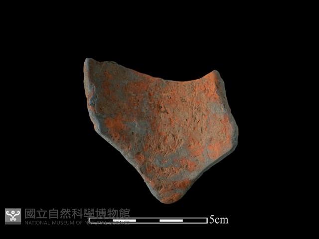 陶片藏品圖，第1張