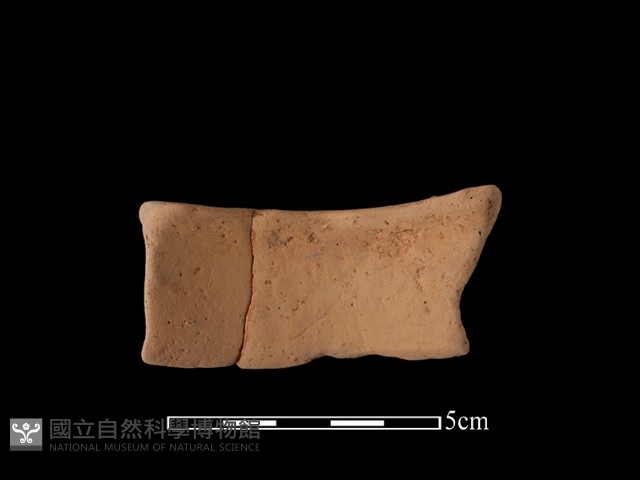 陶片藏品圖，第1張