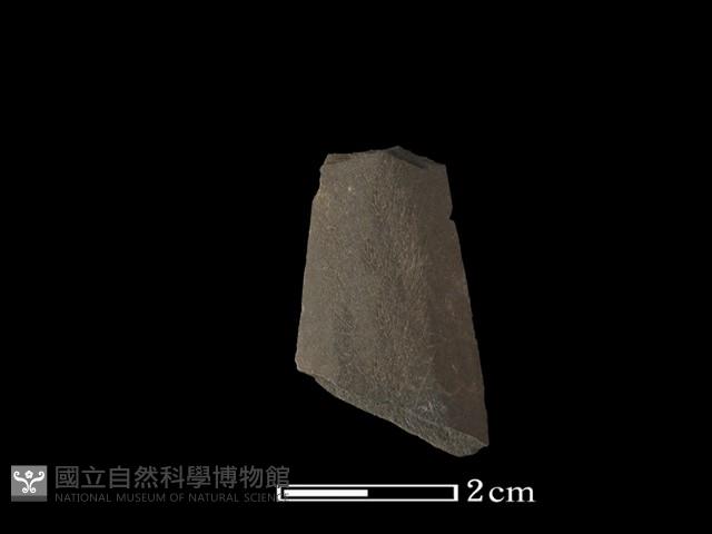 矛鏃形器藏品圖，第2張