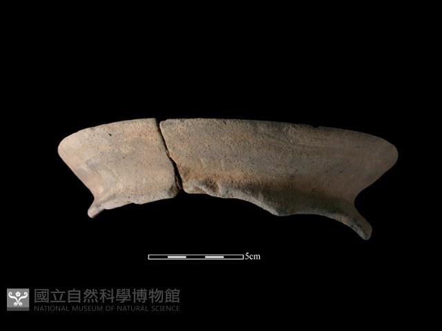 陶罐藏品圖，第3張