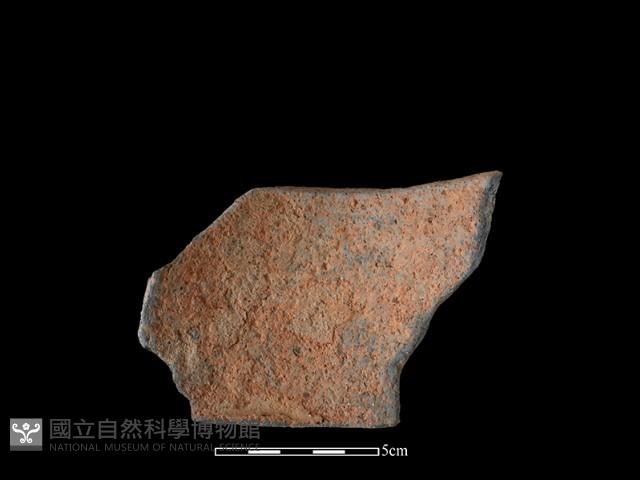 陶片藏品圖，第2張