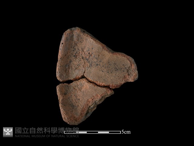 陶片藏品圖，第2張