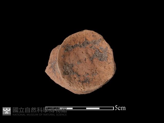 陶片藏品圖，第2張