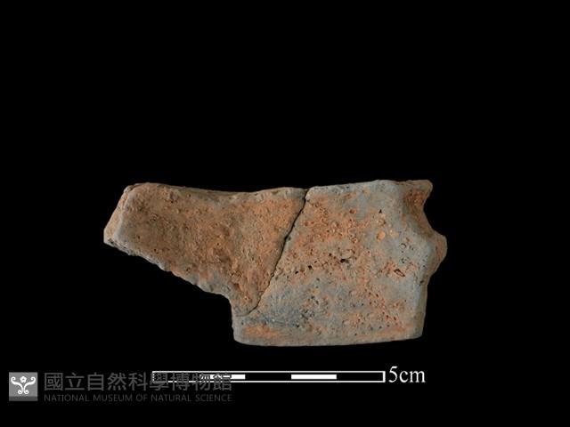 陶片藏品圖，第2張