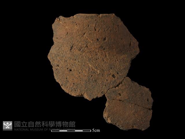 Accession Number:TP1-E23-350 Collection Image, Figure 3, Total 4 Figures