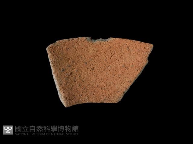 陶罐藏品圖，第2張