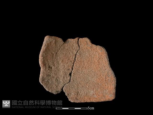 陶片藏品圖，第1張