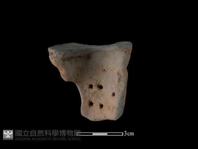 陶片藏品圖，第2張