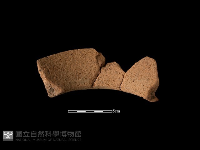 陶罐藏品圖，第2張