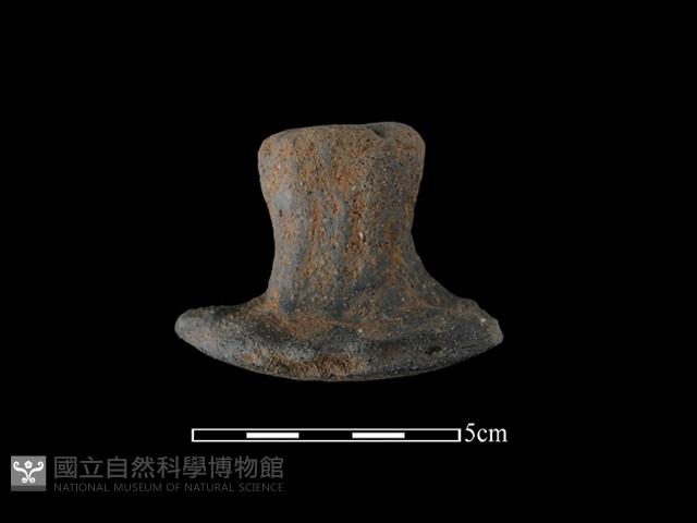 陶蓋鈕藏品圖，第1張