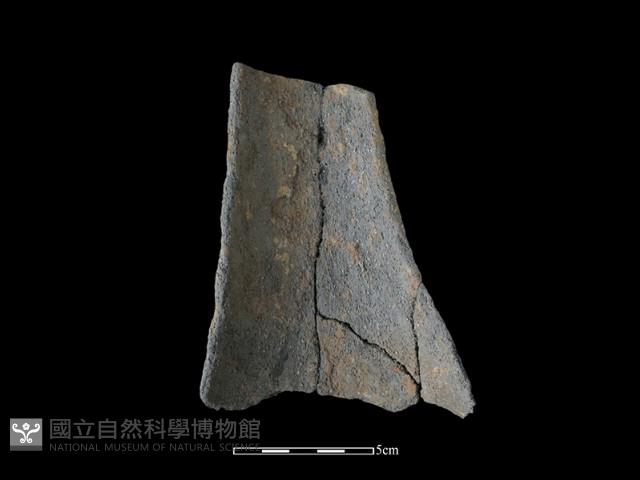 陶片藏品圖，第1張