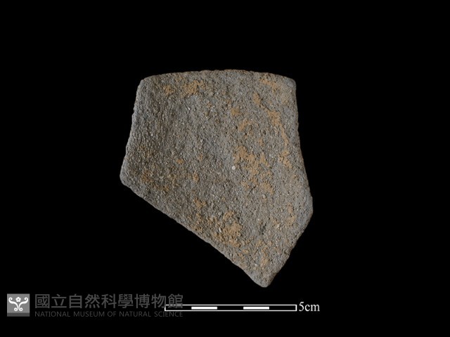 陶片藏品圖，第1張