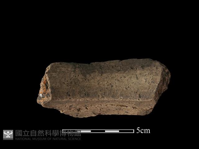 陶罐藏品圖，第1張