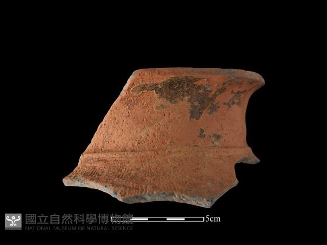 陶罐藏品圖，第1張