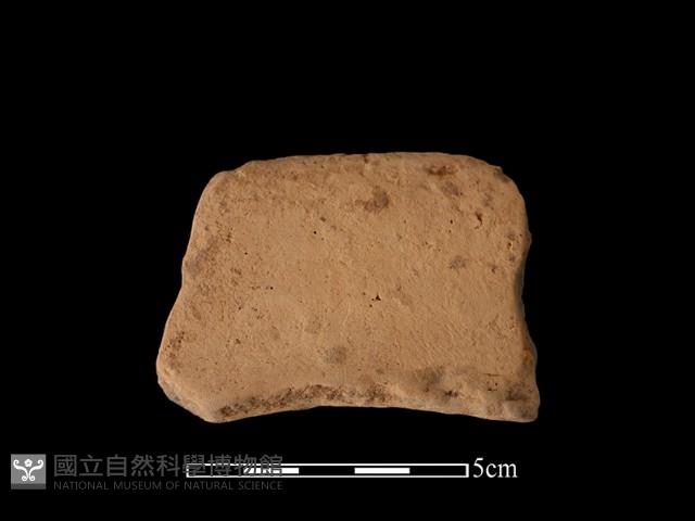 連杯形器藏品圖，第2張