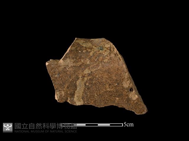 陶甕藏品圖，第2張