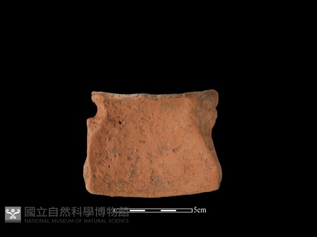 陶片藏品圖，第2張