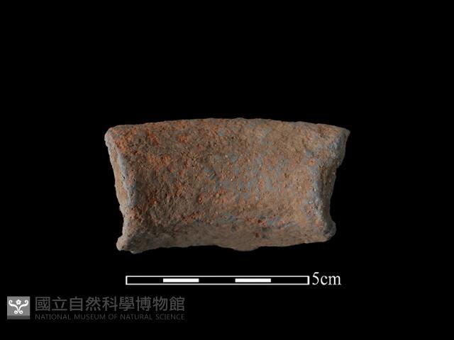 陶罐藏品圖，第1張