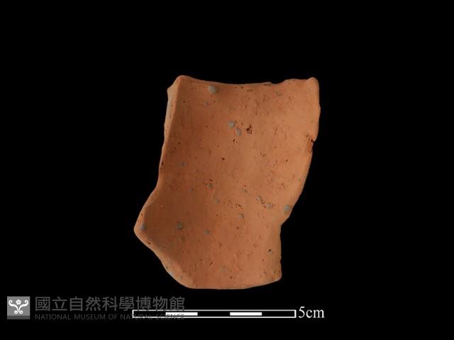 陶片藏品圖，第2張