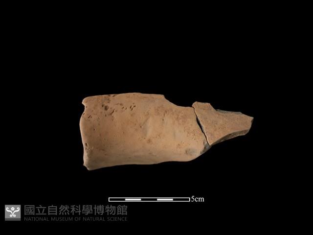 陶罐藏品圖，第1張