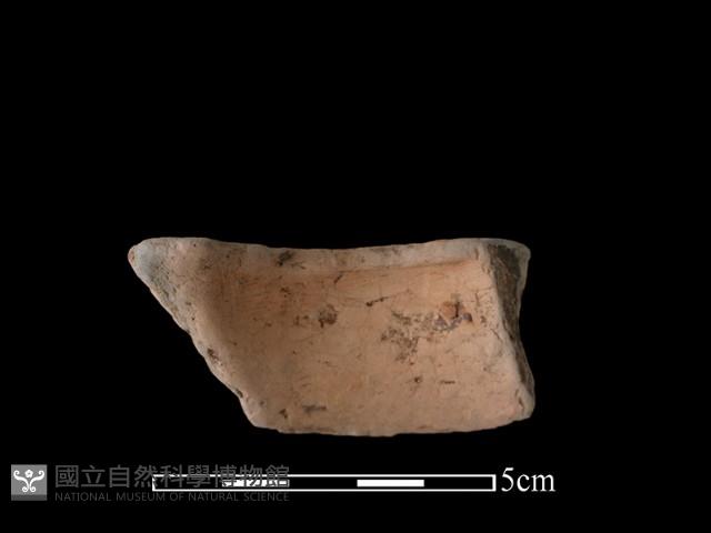 陶片藏品圖，第2張