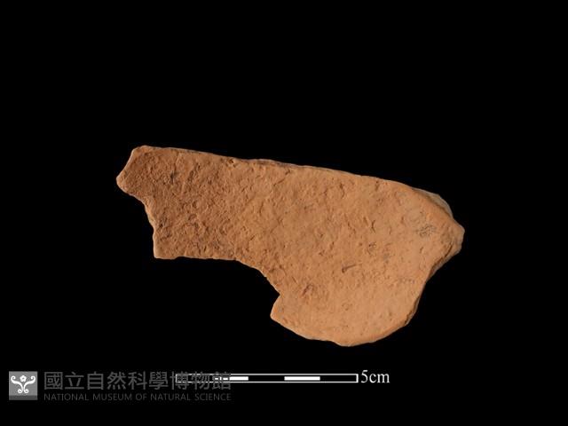 陶缽藏品圖，第2張