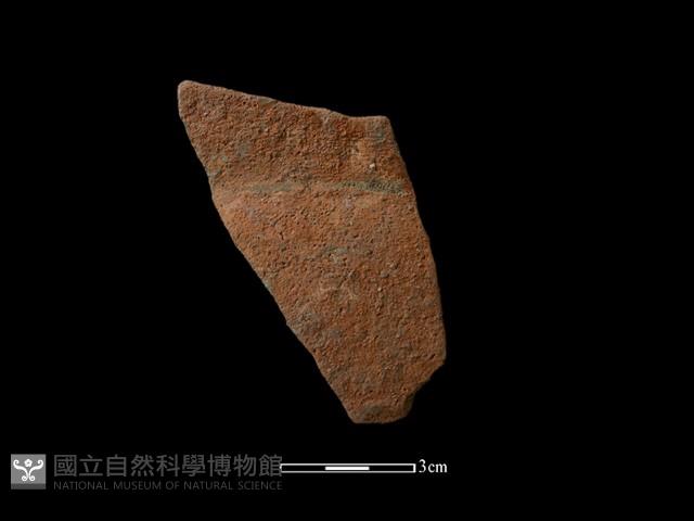 Accession Number:NSKII-2017-285 Collection Image, Figure 1, Total 2 Figures