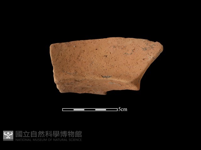 陶罐藏品圖，第1張