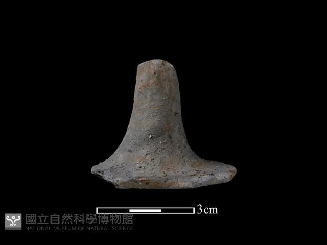 陶蓋鈕藏品圖，第1張