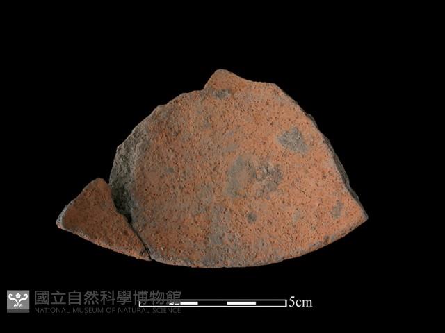 Accession Number:NSKII-2017-385 Collection Image, Figure 1, Total 2 Figures