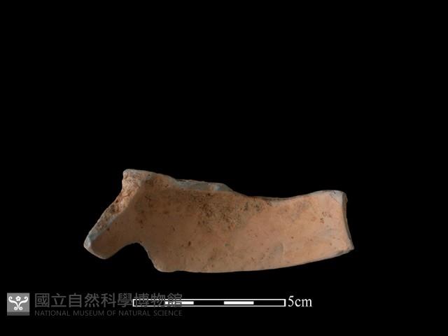 陶片藏品圖，第1張