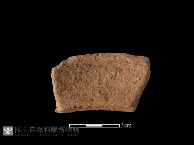 陶罐藏品圖，第1張