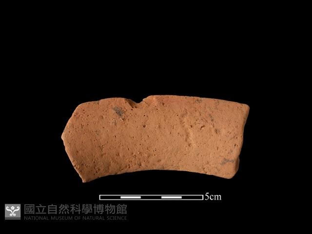 陶罐藏品圖，第1張