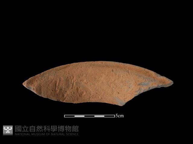 陶罐藏品圖，第2張