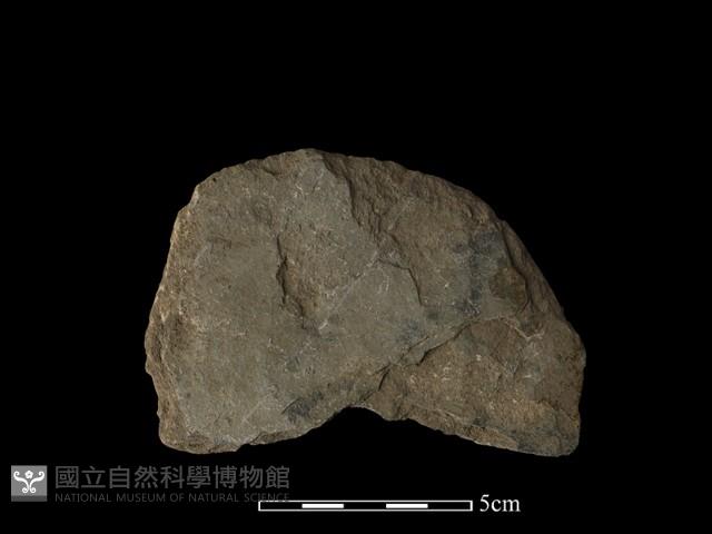 圓板形石器藏品圖，第2張